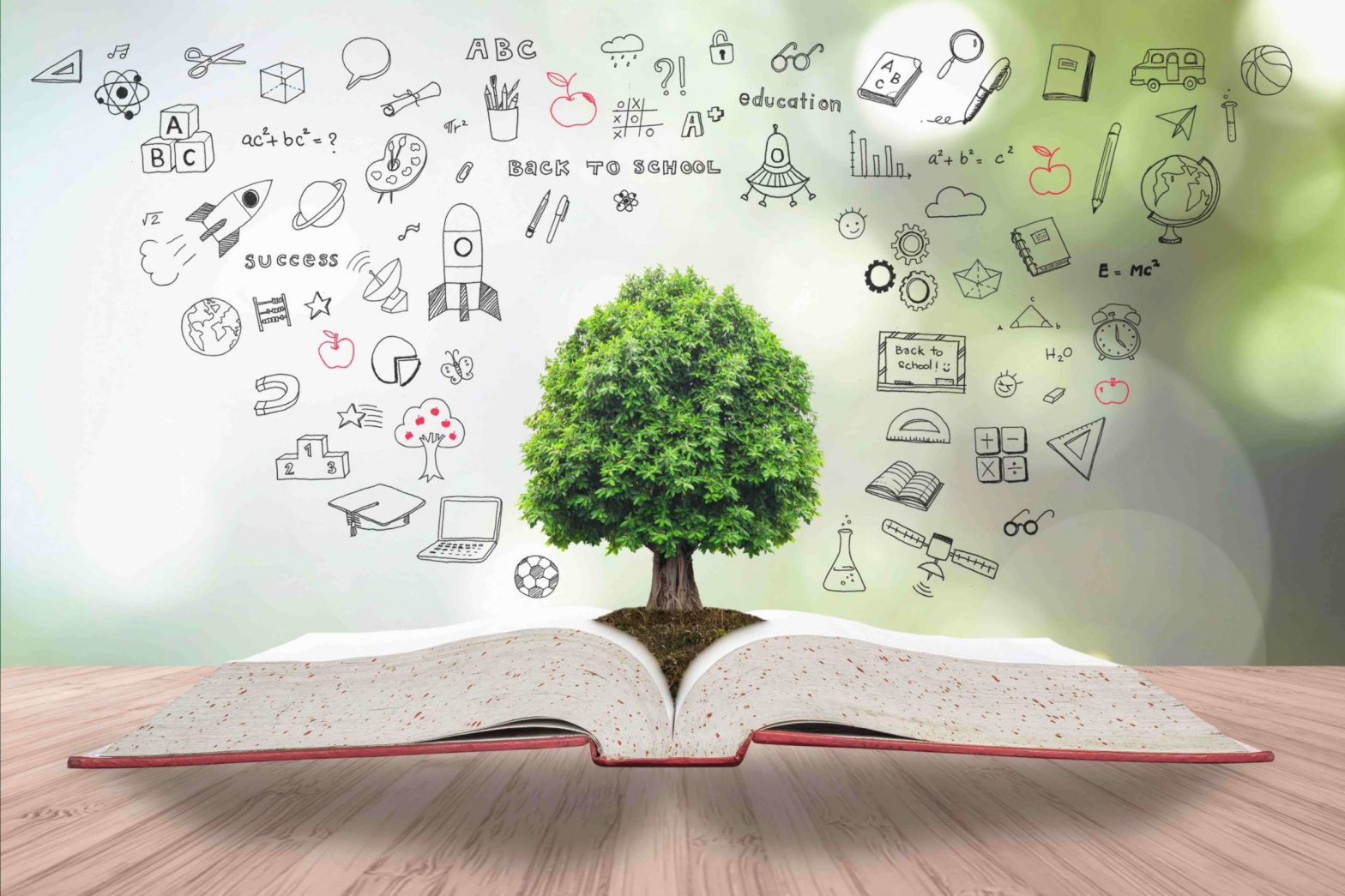Foreign exchange Buying and selling Education – What’s the easiest method to Learn Foreign exchange?