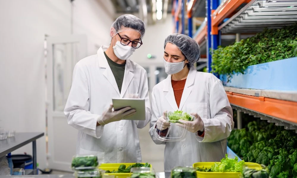 Food Safety Training in Ireland: Your Complete Guide to HACCP Certification